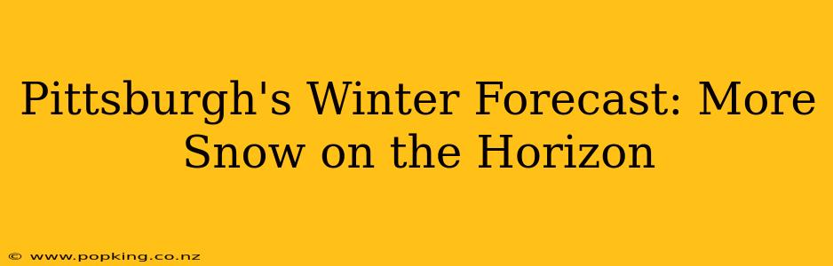 Pittsburgh's Winter Forecast: More Snow on the Horizon
