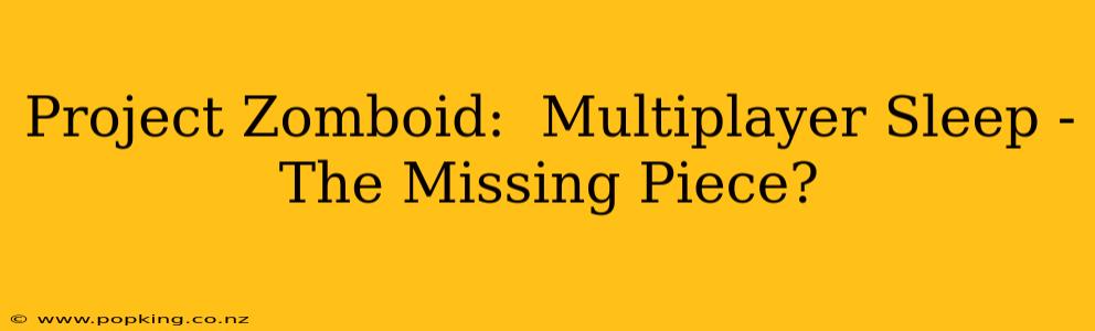 Project Zomboid:  Multiplayer Sleep -  The Missing Piece?