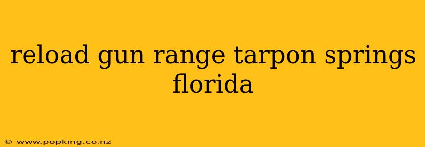 reload gun range tarpon springs florida
