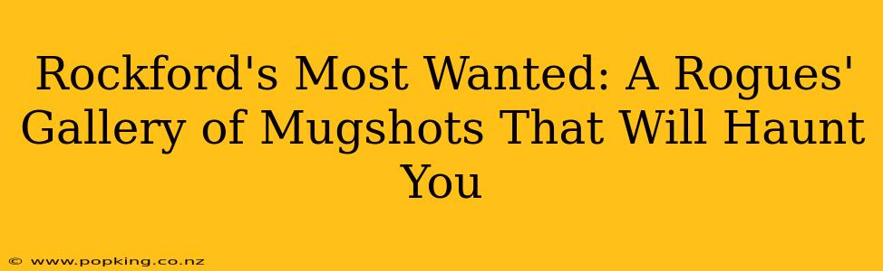 Rockford's Most Wanted: A Rogues' Gallery of Mugshots That Will Haunt You