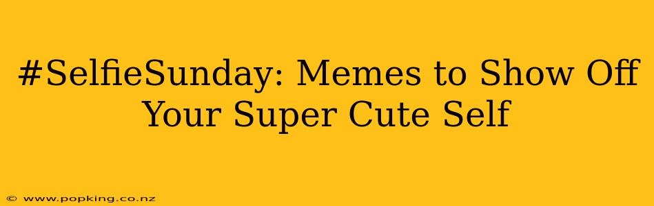 #SelfieSunday: Memes to Show Off Your Super Cute Self