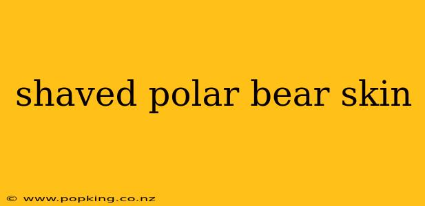 shaved polar bear skin