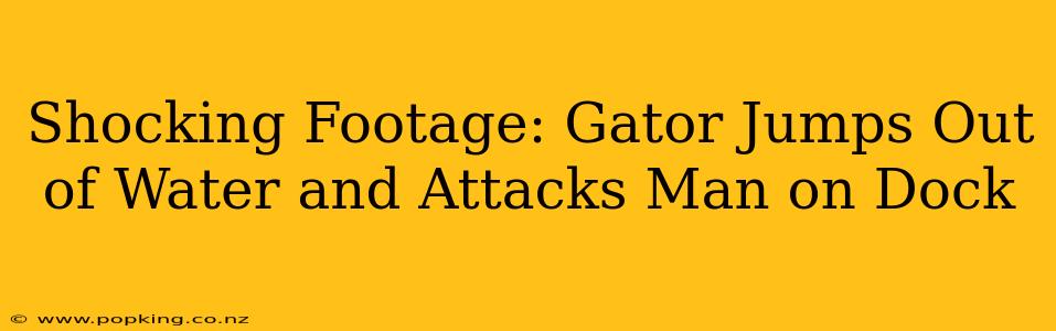 Shocking Footage: Gator Jumps Out of Water and Attacks Man on Dock