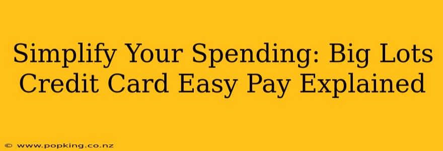 Simplify Your Spending: Big Lots Credit Card Easy Pay Explained