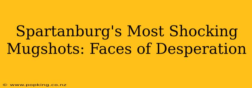 Spartanburg's Most Shocking Mugshots: Faces of Desperation