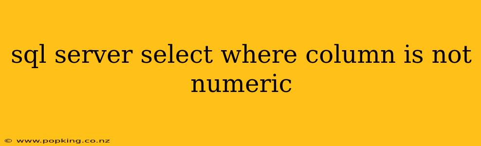 sql server select where column is not numeric