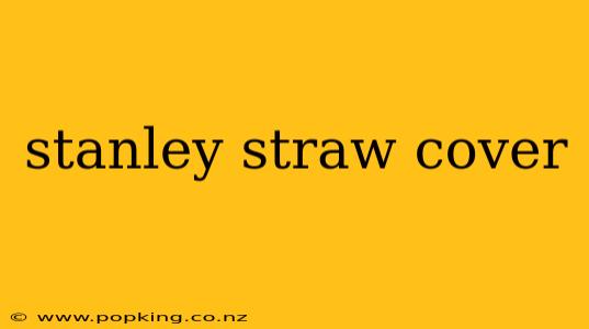 stanley straw cover