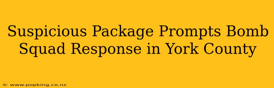 Suspicious Package Prompts Bomb Squad Response in York County
