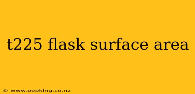 t225 flask surface area