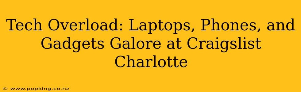 Tech Overload: Laptops, Phones, and Gadgets Galore at Craigslist Charlotte