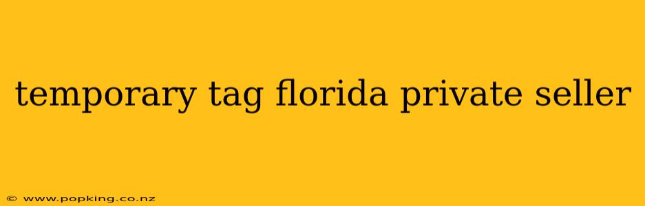 temporary tag florida private seller