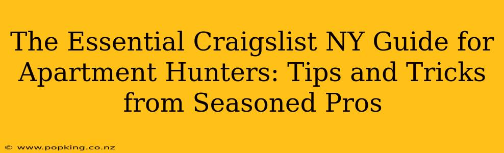 The Essential Craigslist NY Guide for Apartment Hunters: Tips and Tricks from Seasoned Pros