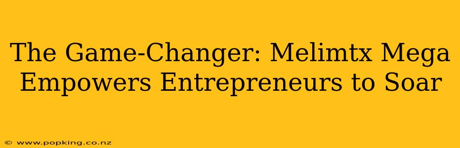 The Game-Changer: Melimtx Mega Empowers Entrepreneurs to Soar