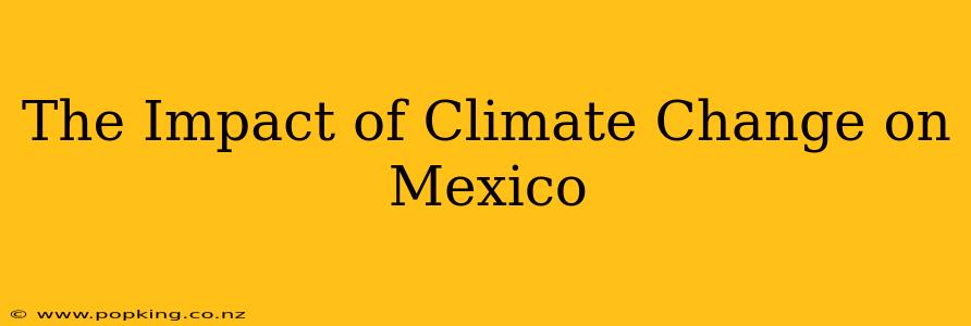 The Impact of Climate Change on Mexico