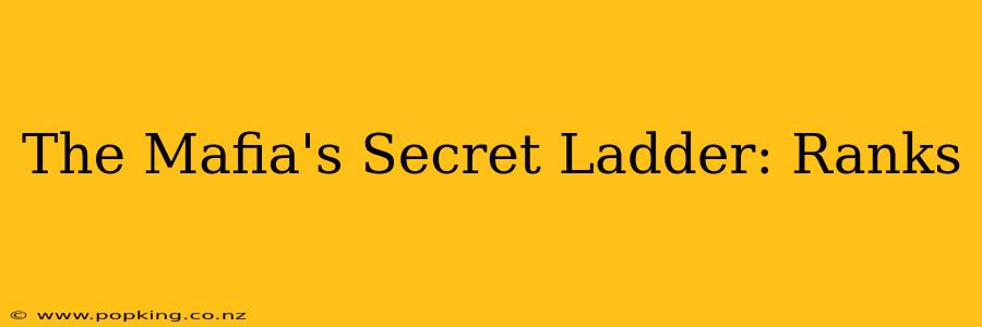 The Mafia's Secret Ladder: Ranks