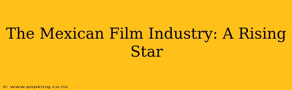 The Mexican Film Industry: A Rising Star