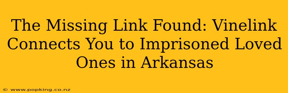 The Missing Link Found: Vinelink Connects You to Imprisoned Loved Ones in Arkansas