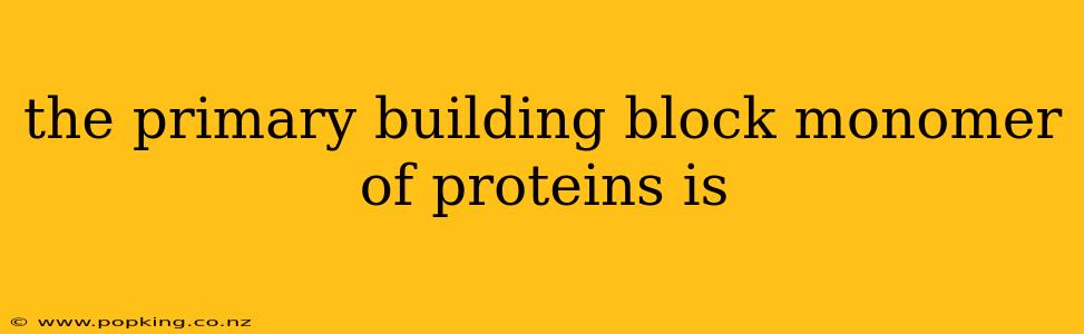 the primary building block monomer of proteins is