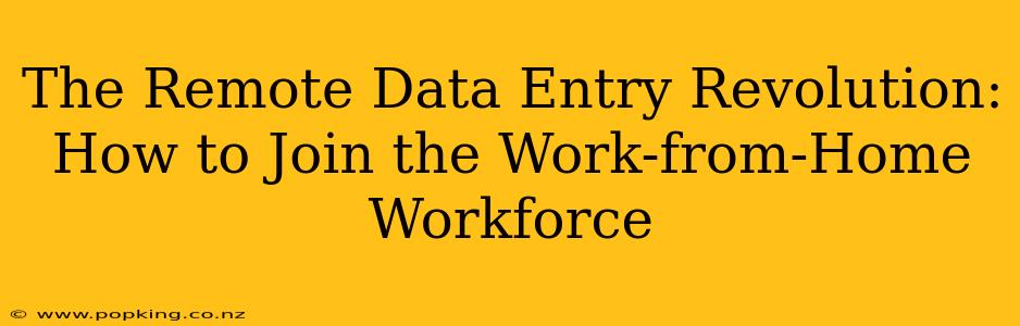 The Remote Data Entry Revolution: How to Join the Work-from-Home Workforce