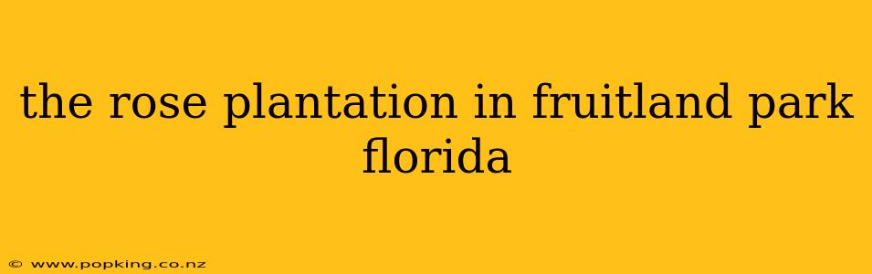 the rose plantation in fruitland park florida