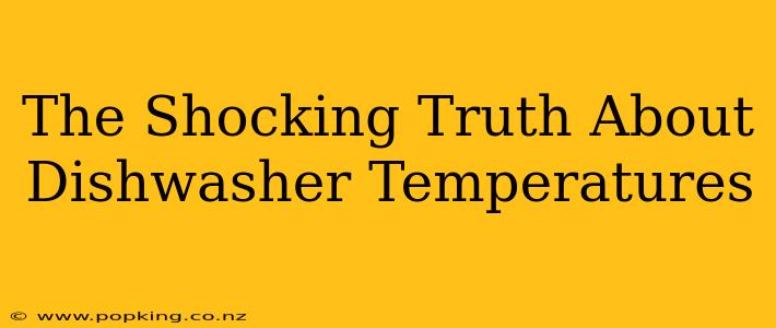 The Shocking Truth About Dishwasher Temperatures