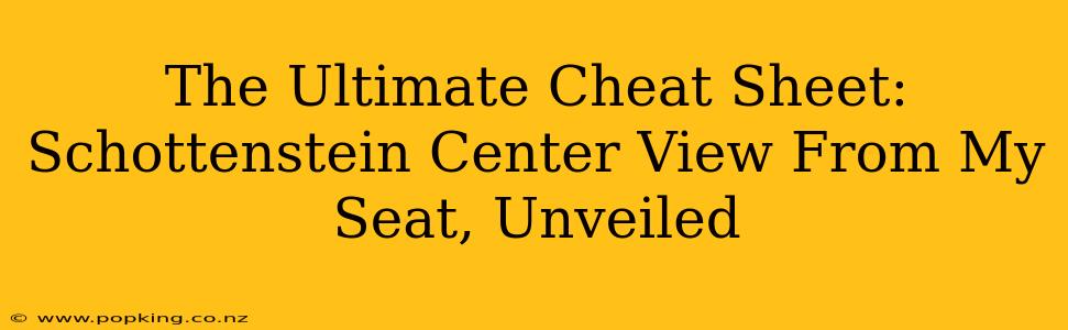 The Ultimate Cheat Sheet: Schottenstein Center View From My Seat, Unveiled