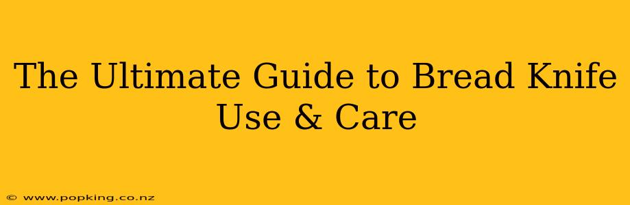 The Ultimate Guide to Bread Knife Use & Care