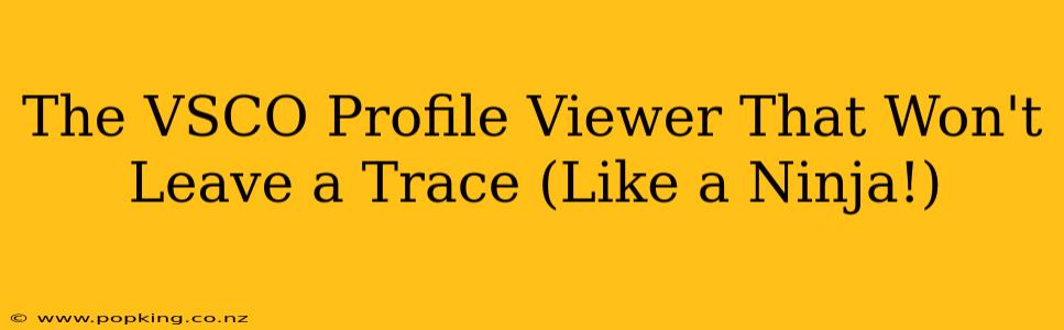The VSCO Profile Viewer That Won't Leave a Trace (Like a Ninja!)