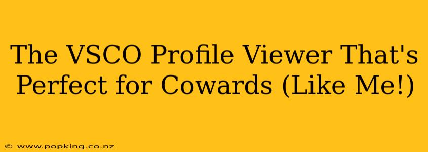 The VSCO Profile Viewer That's Perfect for Cowards (Like Me!)
