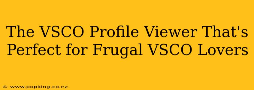 The VSCO Profile Viewer That's Perfect for Frugal VSCO Lovers
