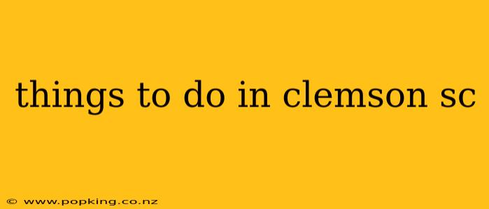 things to do in clemson sc