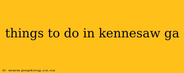 things to do in kennesaw ga