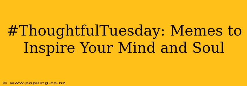 #ThoughtfulTuesday: Memes to Inspire Your Mind and Soul