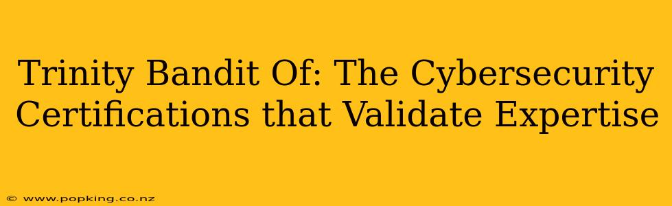 Trinity Bandit Of: The Cybersecurity Certifications that Validate Expertise