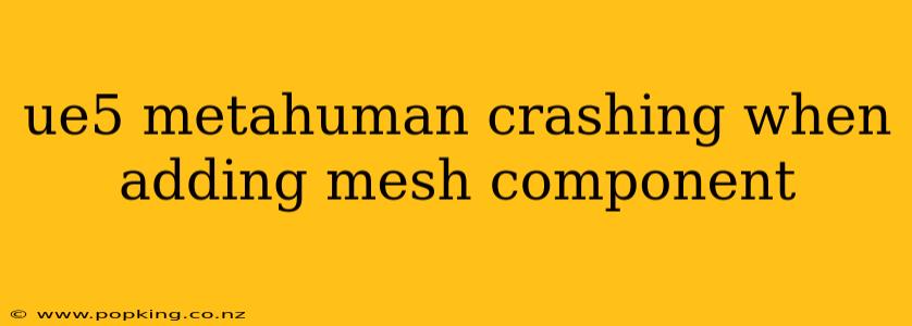 ue5 metahuman crashing when adding mesh component