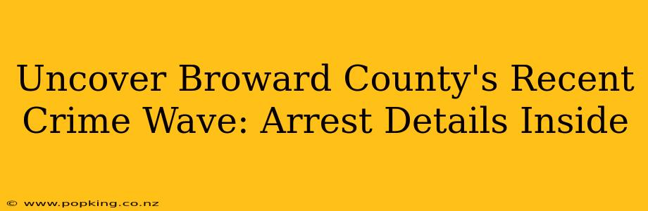 Uncover Broward County's Recent Crime Wave: Arrest Details Inside