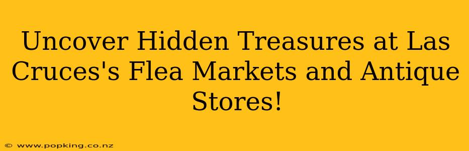 Uncover Hidden Treasures at Las Cruces's Flea Markets and Antique Stores!