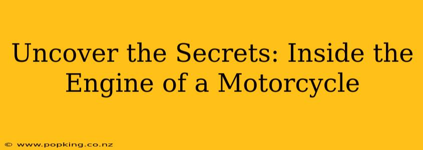 Uncover the Secrets: Inside the Engine of a Motorcycle