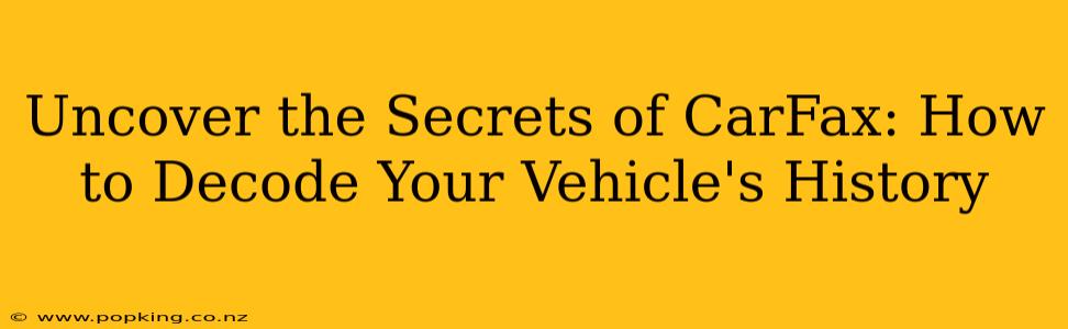 Uncover the Secrets of CarFax: How to Decode Your Vehicle's History