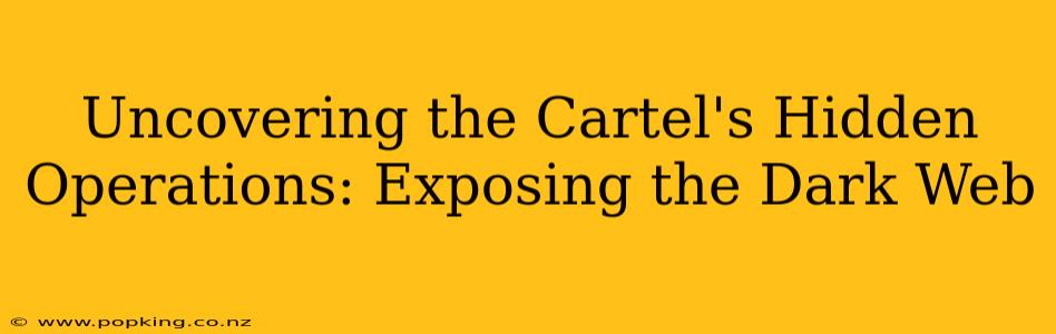 Uncovering the Cartel's Hidden Operations: Exposing the Dark Web