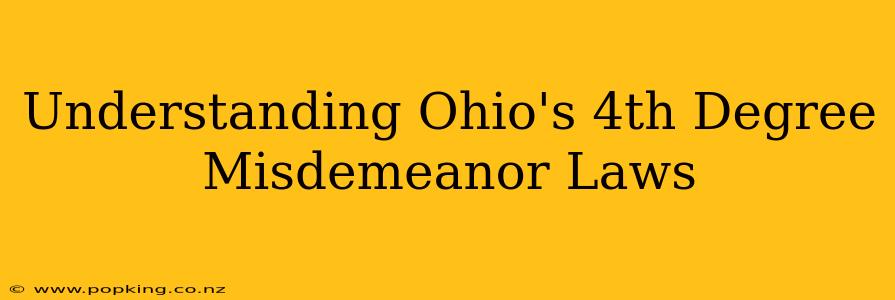 Understanding Ohio's 4th Degree Misdemeanor Laws