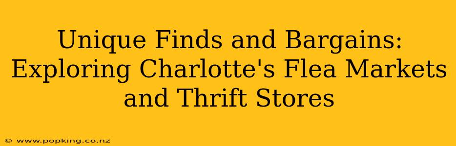 Unique Finds and Bargains: Exploring Charlotte's Flea Markets and Thrift Stores