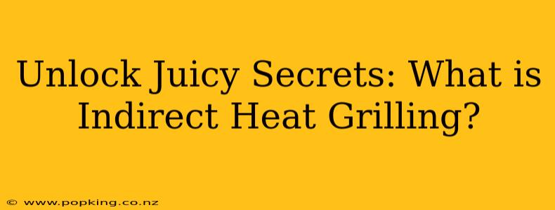 Unlock Juicy Secrets: What is Indirect Heat Grilling?