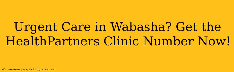 Urgent Care in Wabasha? Get the HealthPartners Clinic Number Now!