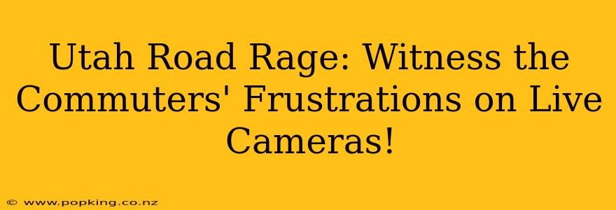Utah Road Rage: Witness the Commuters' Frustrations on Live Cameras!