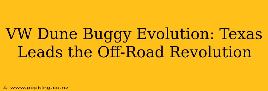 VW Dune Buggy Evolution: Texas Leads the Off-Road Revolution