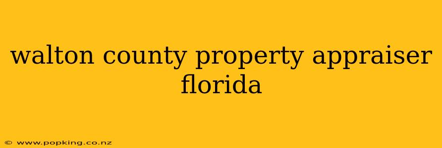 walton county property appraiser florida
