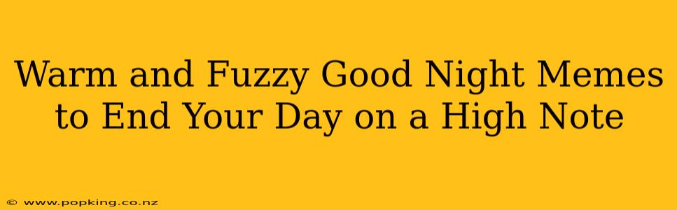 Warm and Fuzzy Good Night Memes to End Your Day on a High Note
