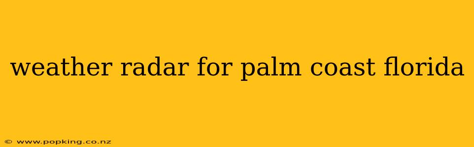 weather radar for palm coast florida