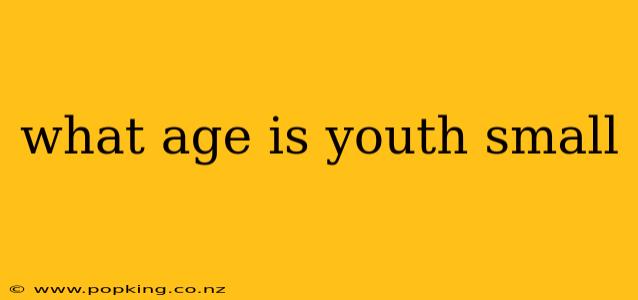 what age is youth small